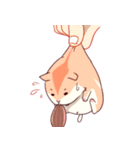 Hamster's daily（個別スタンプ：24）