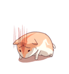 Hamster's daily（個別スタンプ：40）