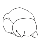 bobo cat（個別スタンプ：1）