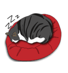 bobo cat（個別スタンプ：5）