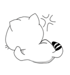 bobo cat（個別スタンプ：13）