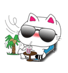 bobo cat（個別スタンプ：18）
