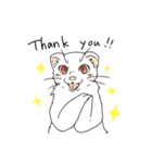 まいにちフェレット（個別スタンプ：12）