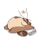 Iamkuja＆ civet cats（個別スタンプ：14）