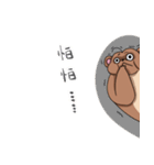 Iamkuja＆ civet cats（個別スタンプ：27）