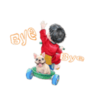 Typically Tai and Buddy(new)（個別スタンプ：20）