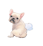 Typically Tai and Buddy(new)（個別スタンプ：28）