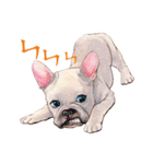 Typically Tai and Buddy(new)（個別スタンプ：30）