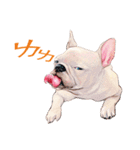 Typically Tai and Buddy(new)（個別スタンプ：32）