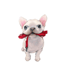 Typically Tai and Buddy(new)（個別スタンプ：36）