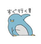 目が近いペンギン（個別スタンプ：24）