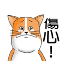pommeow debut（個別スタンプ：4）