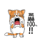 pommeow debut（個別スタンプ：6）