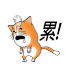 pommeow debut（個別スタンプ：7）