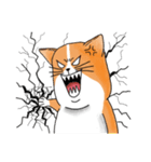 pommeow debut（個別スタンプ：10）
