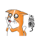 pommeow debut（個別スタンプ：12）
