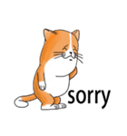 pommeow debut（個別スタンプ：17）