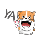 pommeow debut（個別スタンプ：18）