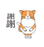 pommeow debut（個別スタンプ：21）