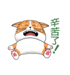 pommeow debut（個別スタンプ：23）