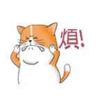 pommeow debut（個別スタンプ：24）