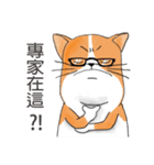 pommeow debut（個別スタンプ：29）