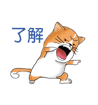 pommeow debut（個別スタンプ：31）