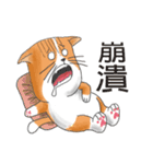 pommeow debut（個別スタンプ：35）