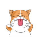 pommeow debut（個別スタンプ：36）