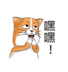 pommeow debut（個別スタンプ：38）