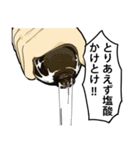 どっか県そのへん高校化学部（個別スタンプ：37）