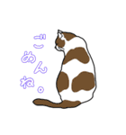 まいにち猫ばかり（個別スタンプ：4）