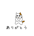 【日本語〜英語】翻訳する猫（個別スタンプ：25）