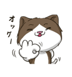 ビーボ猫 第一回（個別スタンプ：2）
