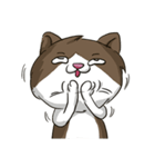 ビーボ猫 第一回（個別スタンプ：3）