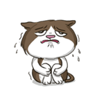ビーボ猫 第一回（個別スタンプ：5）