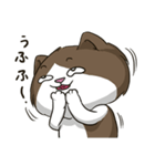 ビーボ猫 第一回（個別スタンプ：6）