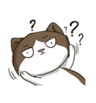 ビーボ猫 第一回（個別スタンプ：9）