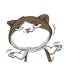ビーボ猫 第一回（個別スタンプ：14）