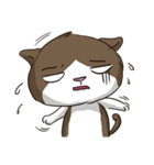 ビーボ猫 第一回（個別スタンプ：24）