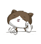 ビーボ猫 第一回（個別スタンプ：26）