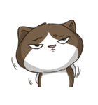 ビーボ猫 第一回（個別スタンプ：34）