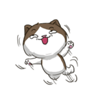 ビーボ猫 第一回（個別スタンプ：36）