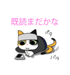 この俺だよ？ 職人 ネコ スタンプ ねこ 猫（個別スタンプ：31）