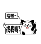 the cute cat 01（個別スタンプ：12）
