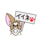 チワパピしゃもじの四季折々。（個別スタンプ：4）