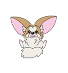 チワパピしゃもじの四季折々。（個別スタンプ：5）