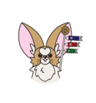 チワパピしゃもじの四季折々。（個別スタンプ：12）