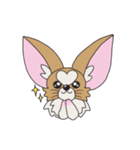 チワパピしゃもじの四季折々。（個別スタンプ：19）