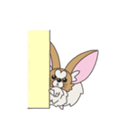 チワパピしゃもじの四季折々。（個別スタンプ：22）